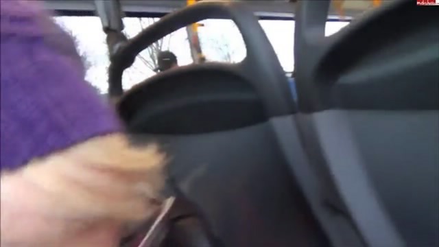 Две немки отсасывают в автобусе Две немки отсасывают в автобусе
