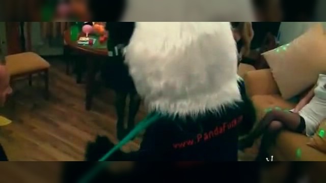 Студенческая групповушка Студенческая групповушка